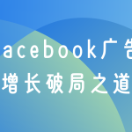 避坑指南：出海创业，如何突破Facebook广告的ROI瓶颈？